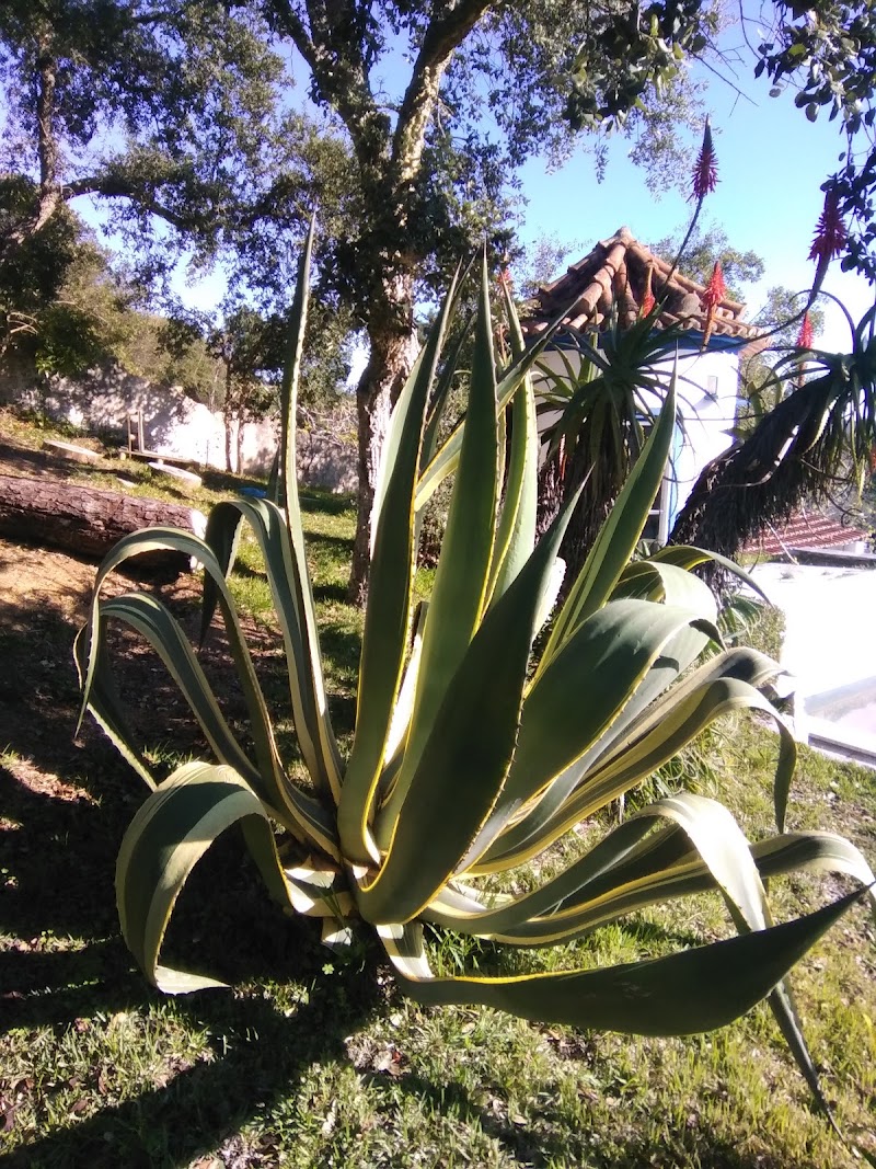 APARTAMENTOS PARTILHADOS ARES DO PINHAL