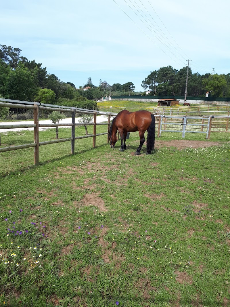 APARTAMENTOS PARTILHADOS ARES DO PINHAL